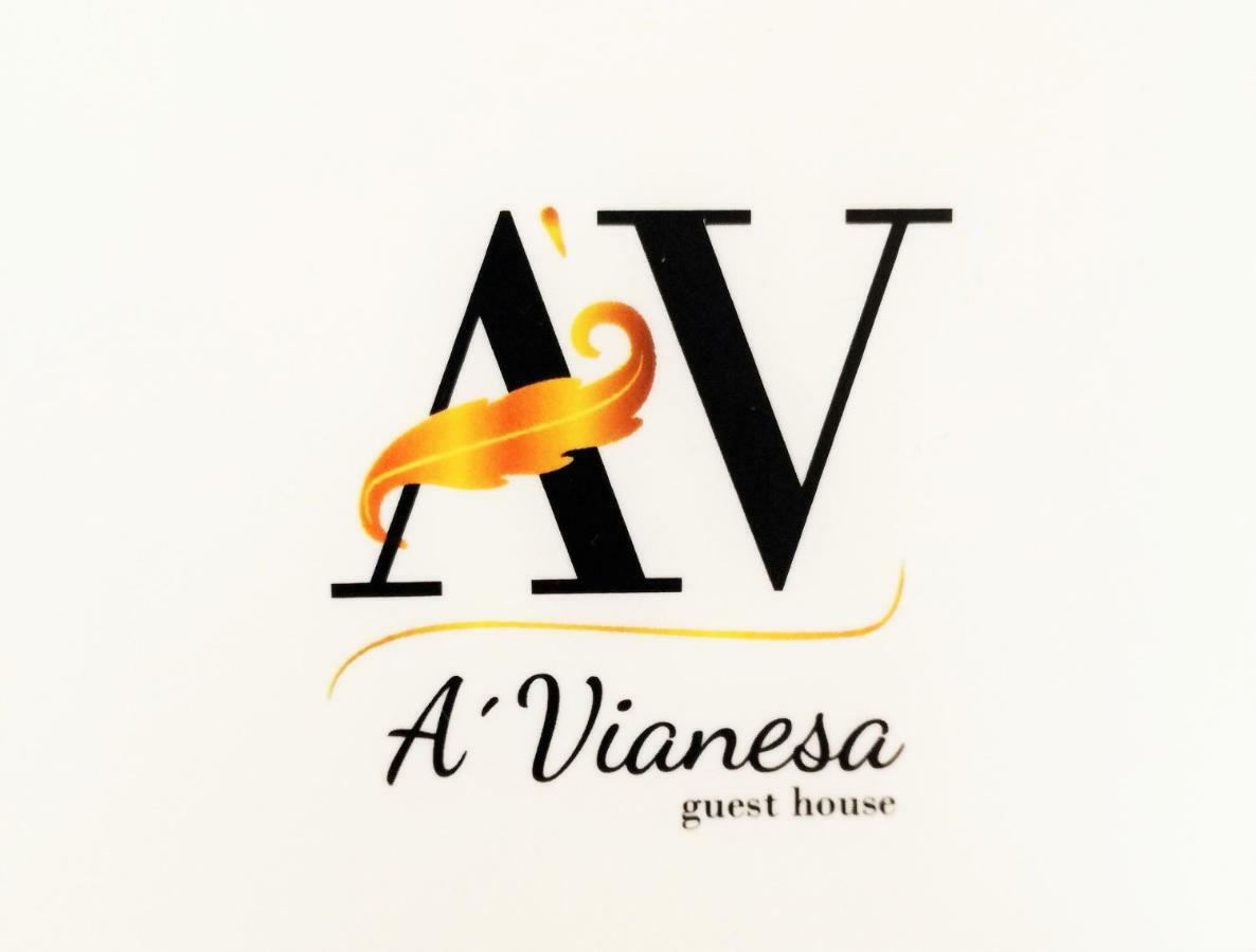 A Vianesa - Guest House Viana do Castelo Eksteriør bilde